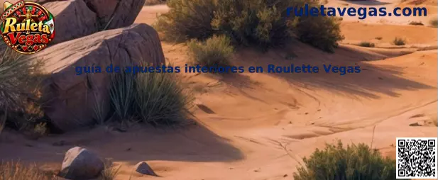 Guía de apuestas interiores en Roulette Vegas