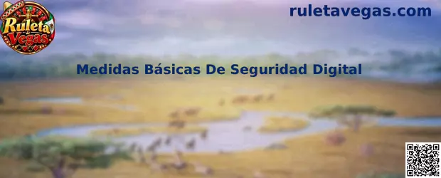 Medidas Básicas De Seguridad Digital